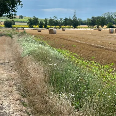 Au Trèfle Dort Châtel-Guyon
