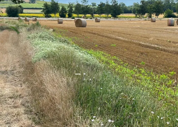 Au Trefle Dort Châtel-Guyon